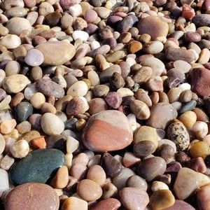 Meet your Posher, Robin